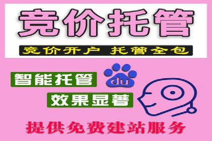 搜索引擎营销（SEM）竞价策略案例